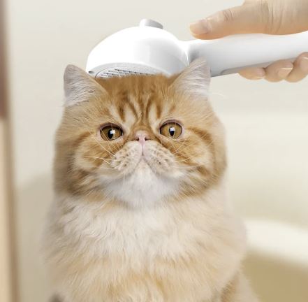 Self-cleaning grooming brush
