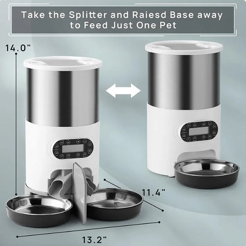 Food & water dispenser