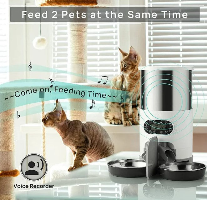 Food & water dispenser